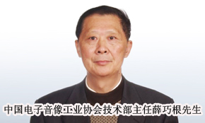 专访中国电子音响工业协会薛巧根先生